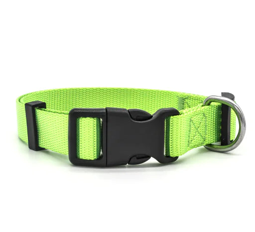 Nylon Pet Collar for Dogs and Cats (Single Piece)