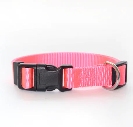 Nylon Pet Collar for Dogs and Cats (Single Piece)