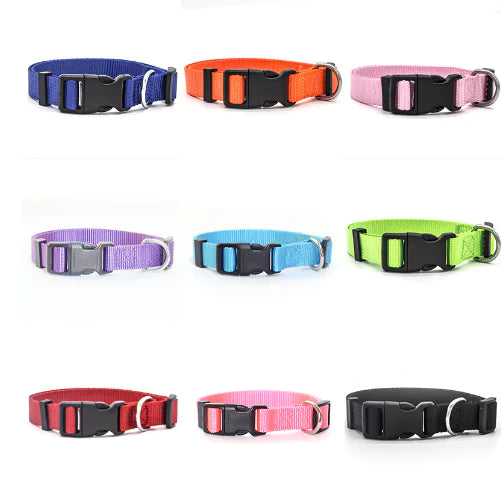 Nylon Pet Collar for Dogs and Cats (Single Piece)