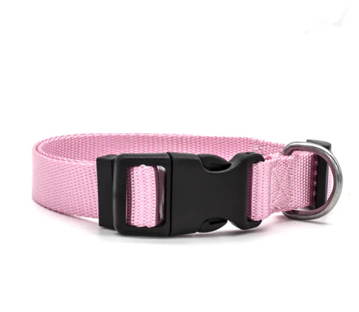 Nylon Pet Collar for Dogs and Cats (Single Piece)