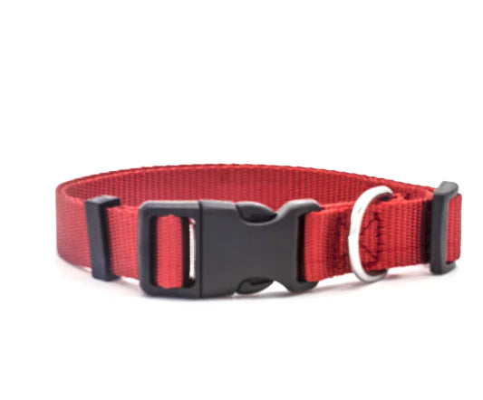 Nylon Pet Collar for Dogs and Cats (Single Piece)