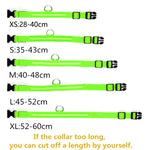 Adjustable LED Pet Collar